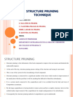 Structure Pruning Technique: Prepared by