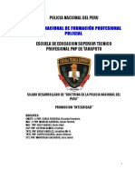 Asignatura Doctrina de La PNP 2019-Silabo Desarrollado