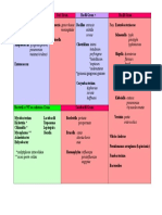 Coci Gram - Bacili Gram + Bacili Gram - Fam. Enterobacteriaceae