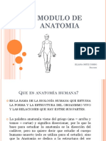 Modulo de Anatomia