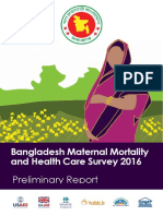 BMMS 2016 Preliminary Report