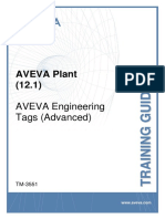 TM-3551 AVEVA Plant (12.1) Engineering - Tags (Advanced)