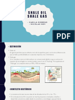 Shale Oil - Shale Gas