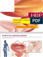 HBP FISIOLOGÍA Y EFECTOS DEL DUODART - Dr.Mauricio Martí Brenes.