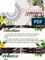 Subculture, Counterculture and Culture Shock