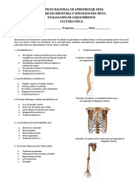 Cuestionario Evaluación Cultura Física 2.4.1