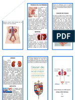 Enfermedades Del Sistema Excretor