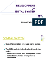 Final DEV OF Female GENITAL SYSTEM