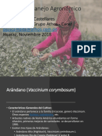 Manejo Agronomico Arandano UNASAM 2018 PDF