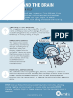 Trauma and The Brain