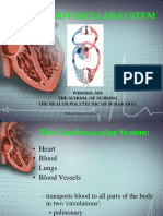 THE CARDIOVASCULAR SYSTEM Review