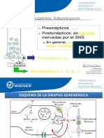 005 Farmacos Adrenergicos Agonistas y Antagonistas