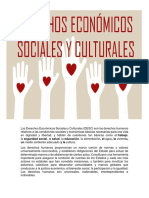 Derechos Economicos y Sociales