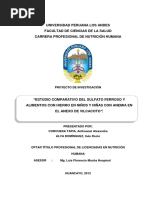 "Estudio Comparativo Del Sulfato Ferroso y Alimentos Con Hierro en Niños y Niñas Con Anemia en El Anexo de Vilcacoto".