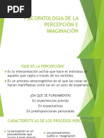 Psicopatologia de La Percepción e Imaginación