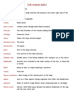 The Human Body: Abdomen. Appendix