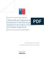 23.5 Informe Jornada Programa de Estudio Diaguita