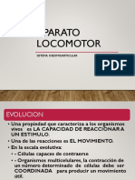 Aparato Locomotor