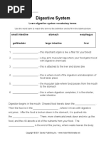 Digestive System