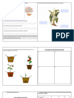 Guia de Ciencias 3° Básico "Las Plantas"