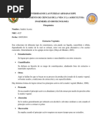 Obtención de Extractos Vegetales