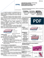 Resumo Tecido Epitelial e Glandular 1