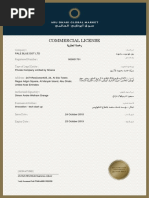 Commercial License For Company - PALE BLUE DOT LTD PDF