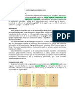 Notas de Nocicepción