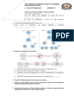 Examen de 6° Icfes-Colcodeco