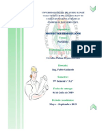 Tipos de Cortinas y de Sección en Presas de Tierra y Enrocado