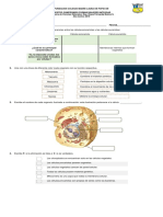 Examen 6° La Celula1 Periodo