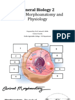 Animal Morphpoanatomy Embryogenesis