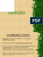 Shrubs and Its Type