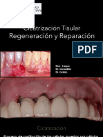 8 - Regeneracion y Reparacion PDF