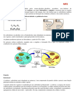 Estudo Bioquimica