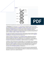 Bioquímica