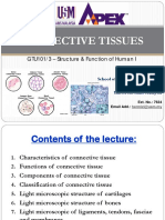 Connective Tissuesstud