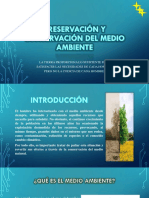 Preservación y Conservación Del Medio Ambiente Economia