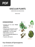 Angiosperms and Gynosperms