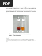 Resultados de Bioquimica