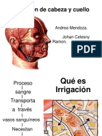 Irrigación de Cabeza y Cuello