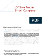 Audit of Sole Trader and A Small Company