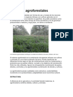 Sistemas Agroforestales