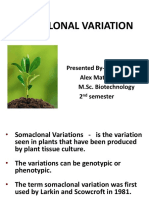 Somaclonal Variation: Presented By-Alex Mathew M.Sc. Biotechnology 2 Semester