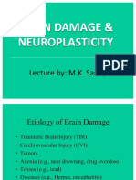 Brain Damage & Neuroplasticity: Lecture By: M.K. Sastry