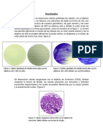 Resultados BC Practica 3