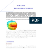 Neurofisiologia Del Aprendizaje