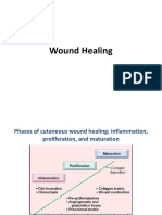 Wound - Healing