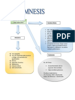 Caso 7 Anamnesis, Vocabulario, 1-2, Conclusion