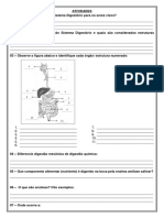 Atividades 8º Ano - Sistema Digestório